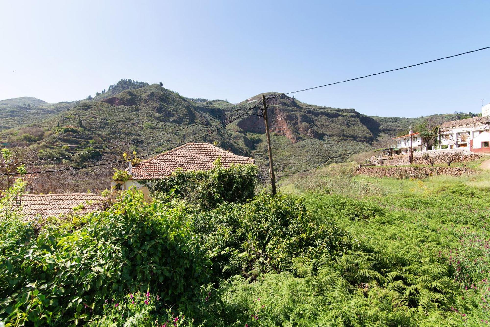 Villa Alma Vega de San Mateo Buitenkant foto